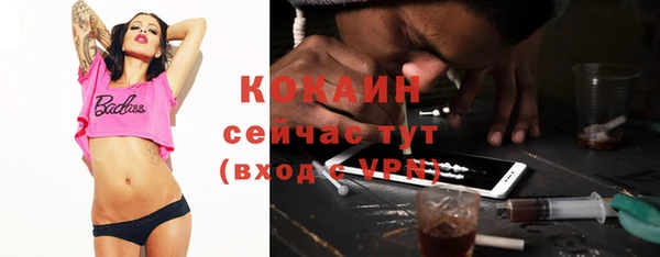 МДПВ Абаза