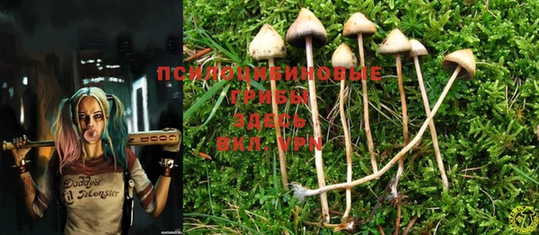 MDMA Premium VHQ Алексин